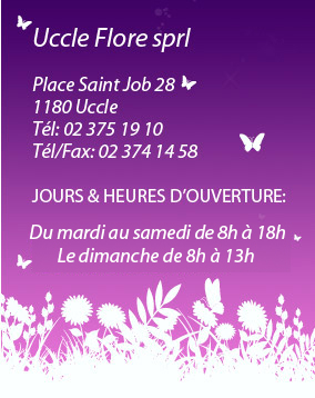 Uccle Flore: adresse et jours et heures d'ouvertures