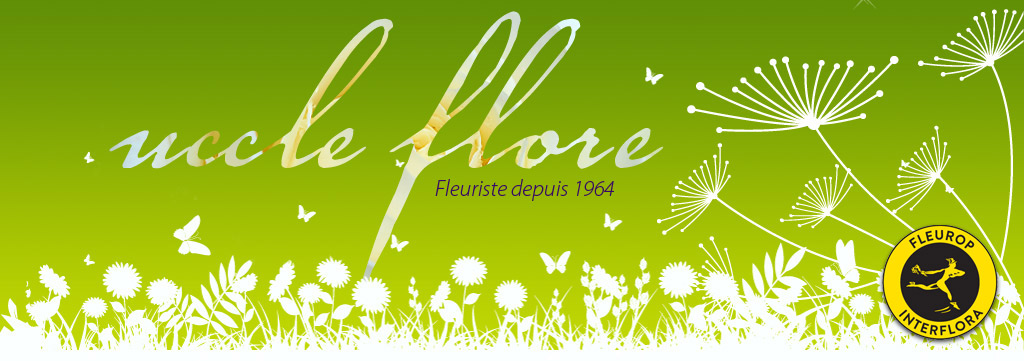 Fleuriste à Uccle - Uccle Flore - Fleuriste à Uccle Place Saint Job,28 depuis 1964